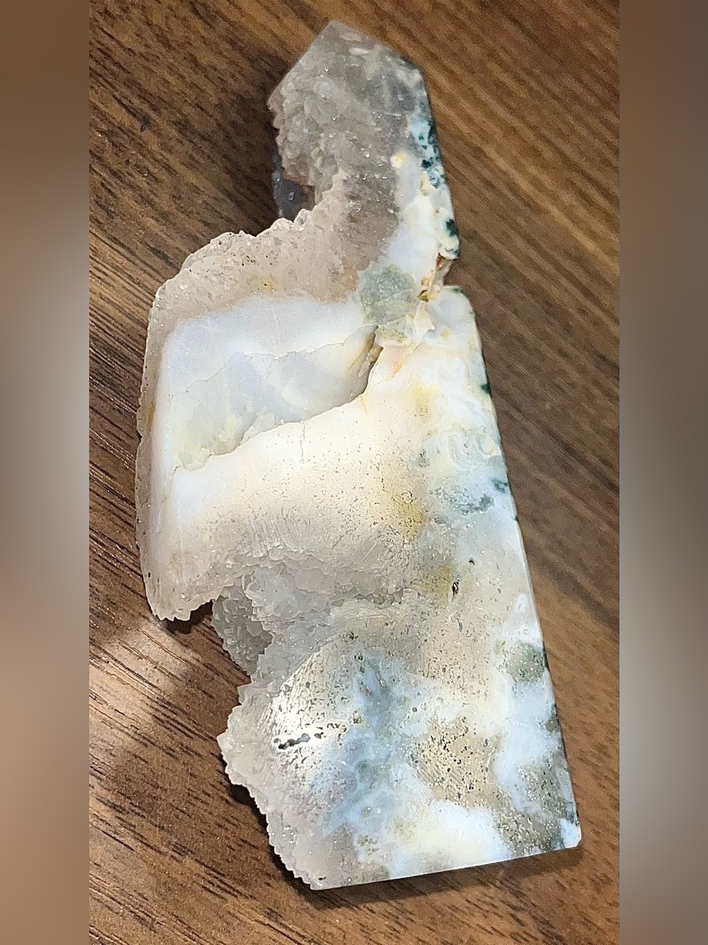 Tree/Moss Agate W/ Druzy Pockets